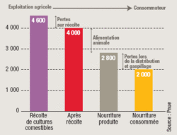 Nourrir le monde