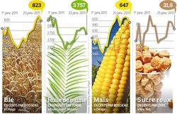 ECO-201104-G20-alimentaire-ble-mais-sucre-palmeSMALL