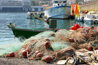 Bateau-de-peche_medium