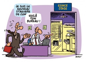 Stage-conseils-300x217